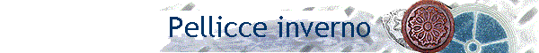 Pellicce inverno